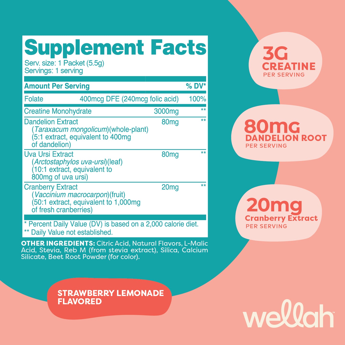 Creatine Sample Pack + Shaker Bottle