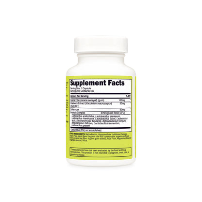 Probiotic Capsules | 60 Servings
