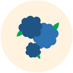 Blue Raspberry