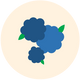 Blue Raspberry