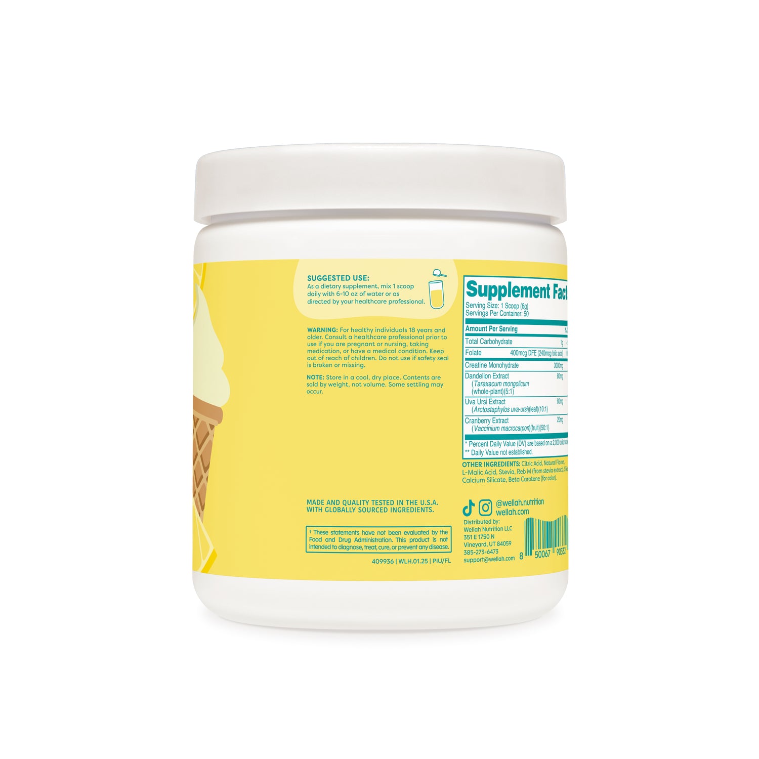 Frozen Lemonade / 50 Servings