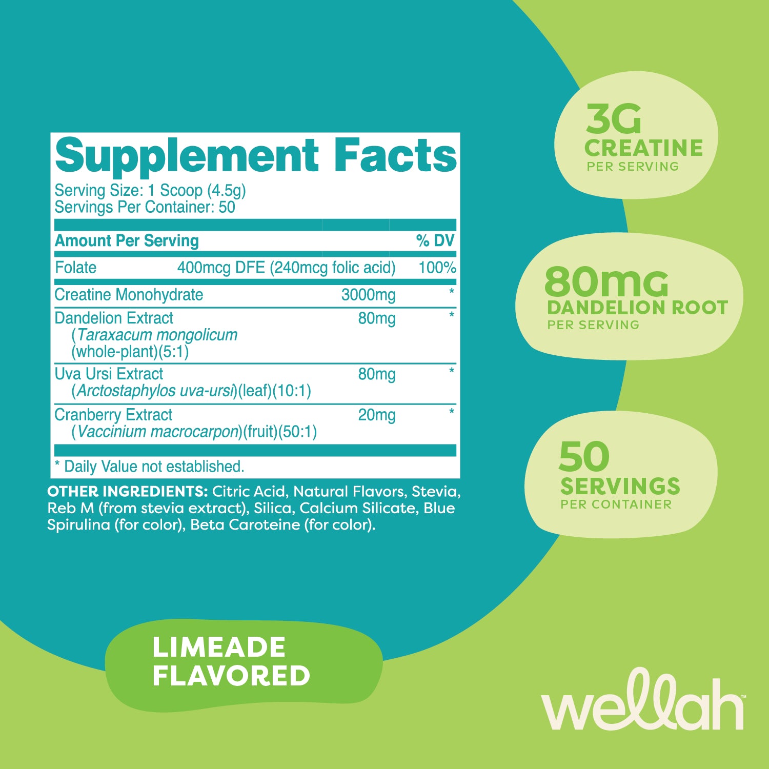 Limeade / 50 Servings