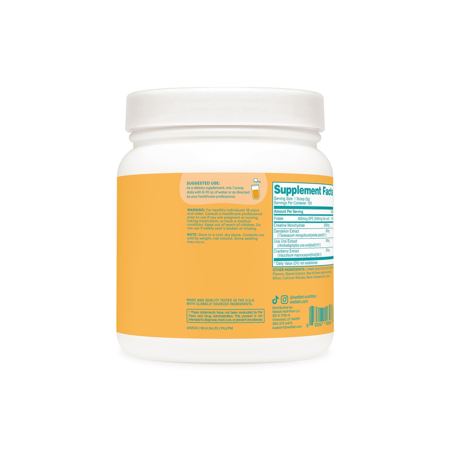 Pineapple Mango / 100 Servings