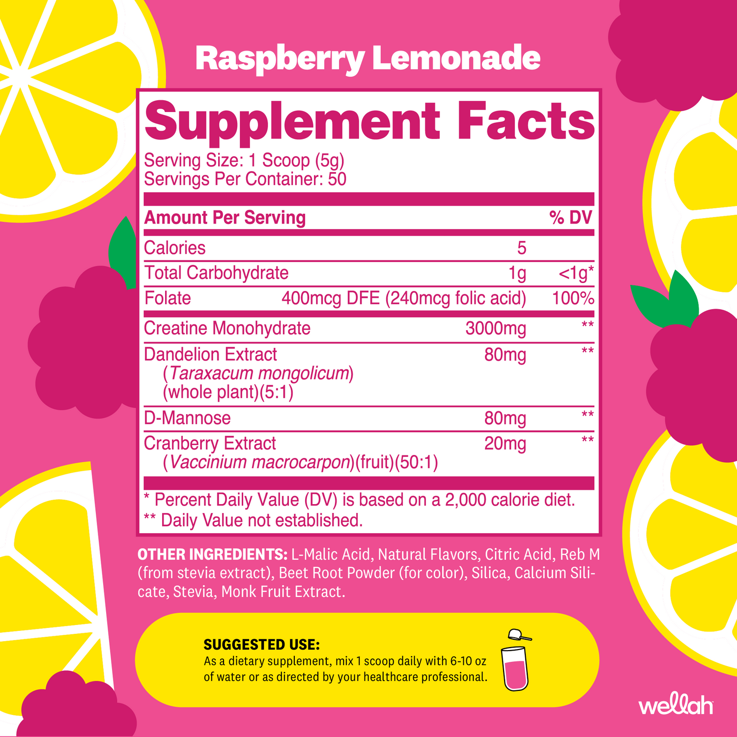 Raspberry Lemonade / 50 Servings