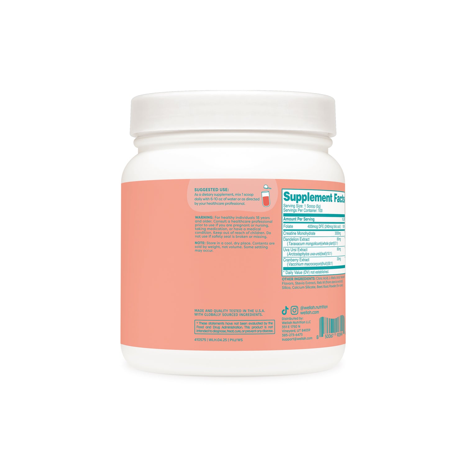 Watermelon Slush / 100 Servings