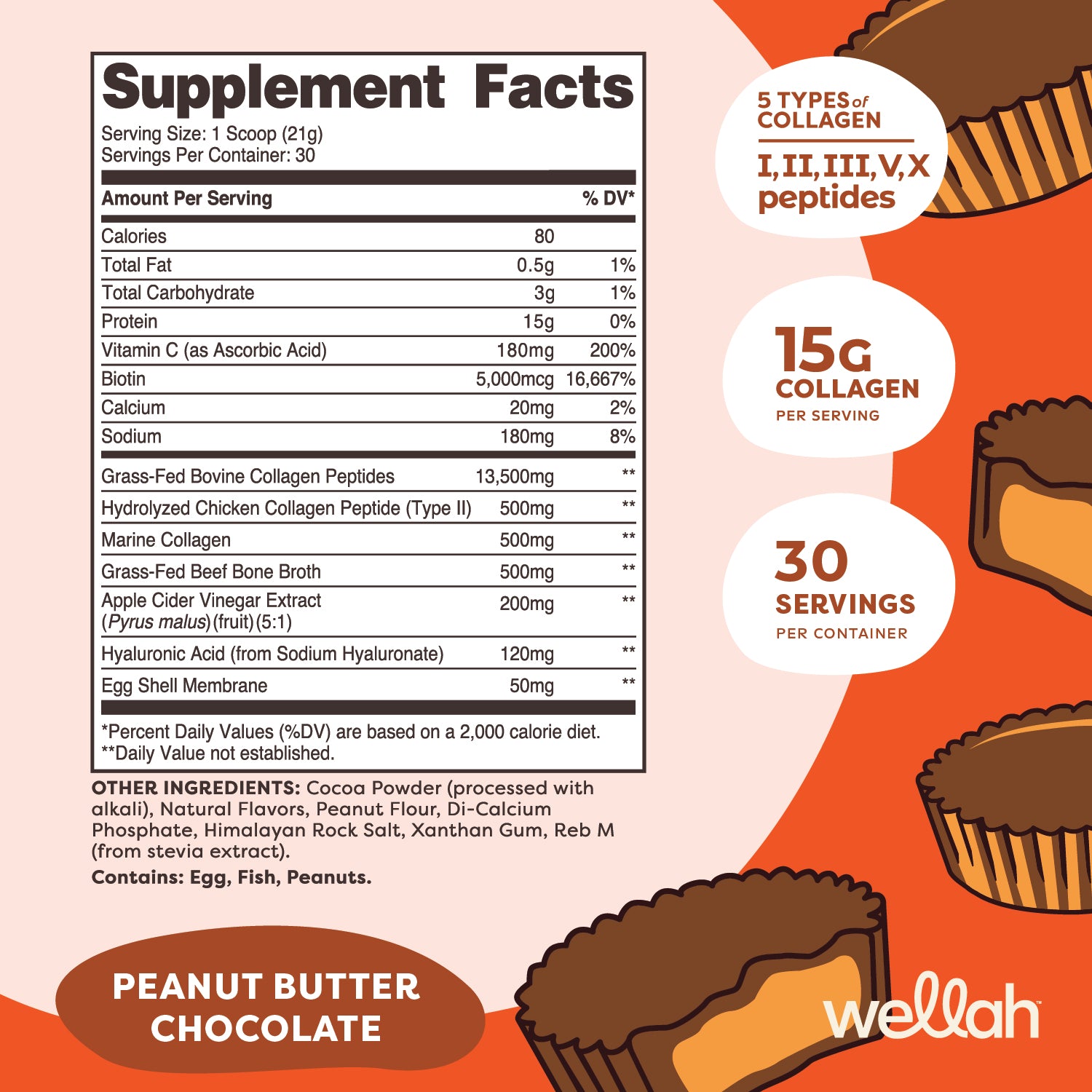 Peanut Butter Chocolate