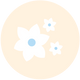 Vanilla