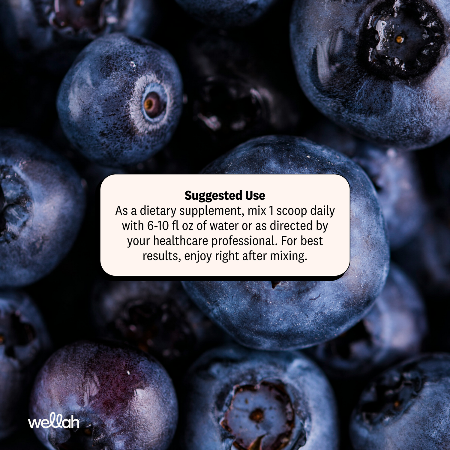 Blueberry Pomegranate / 50 Servings