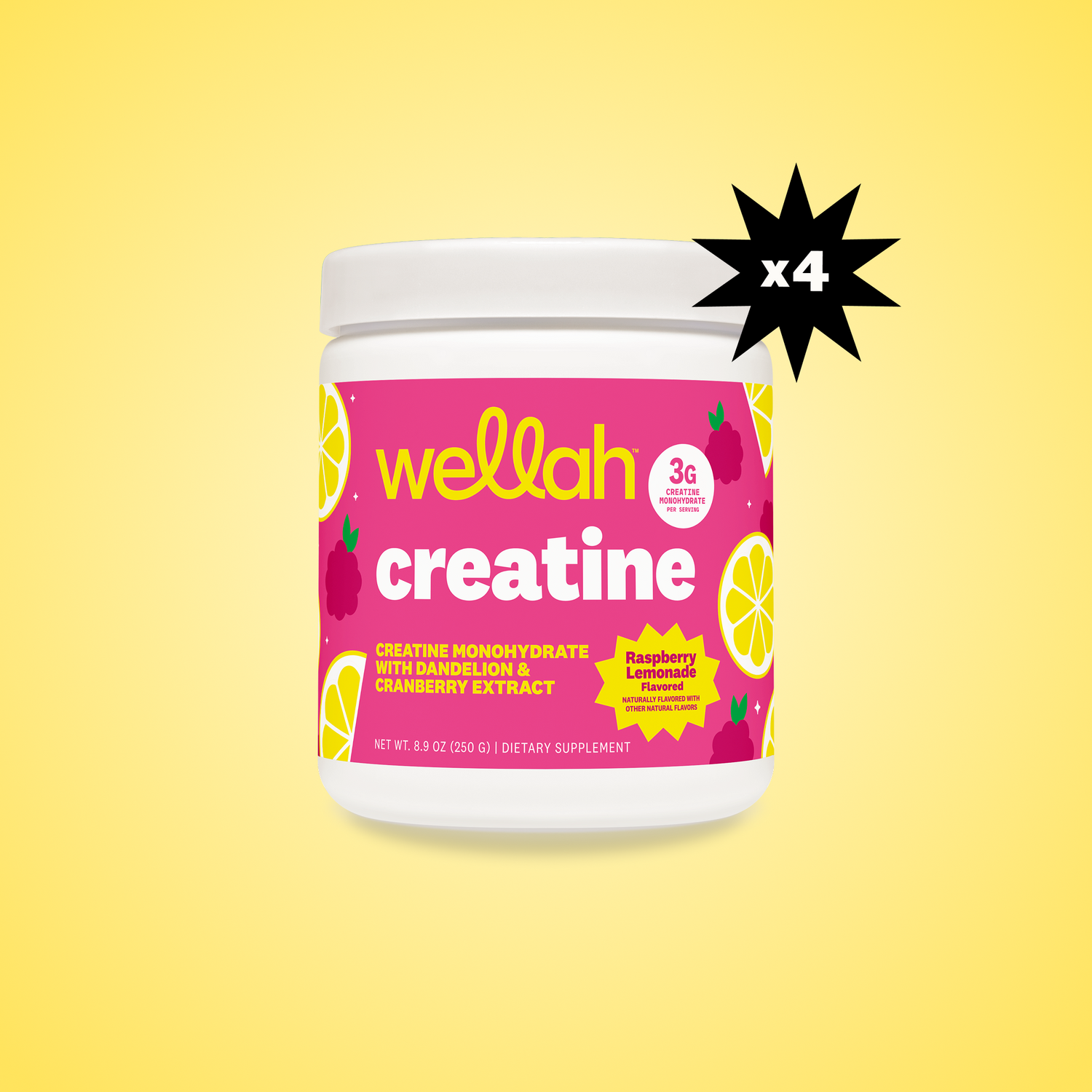 Raspberry Lemonade / 200 Servings