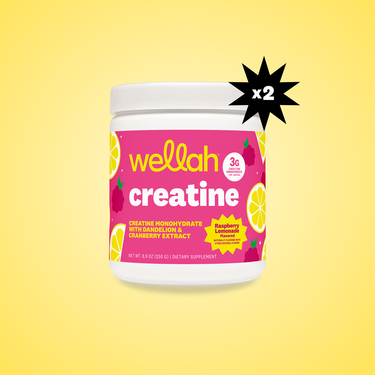 Raspberry Lemonade / 100 Servings