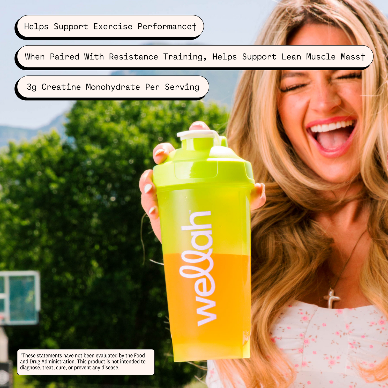 Frozen Lemonade / 50 Servings