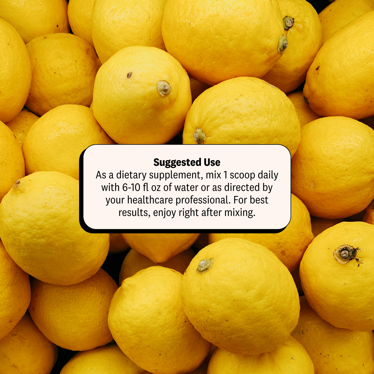 Frozen Lemonade / 50 Servings